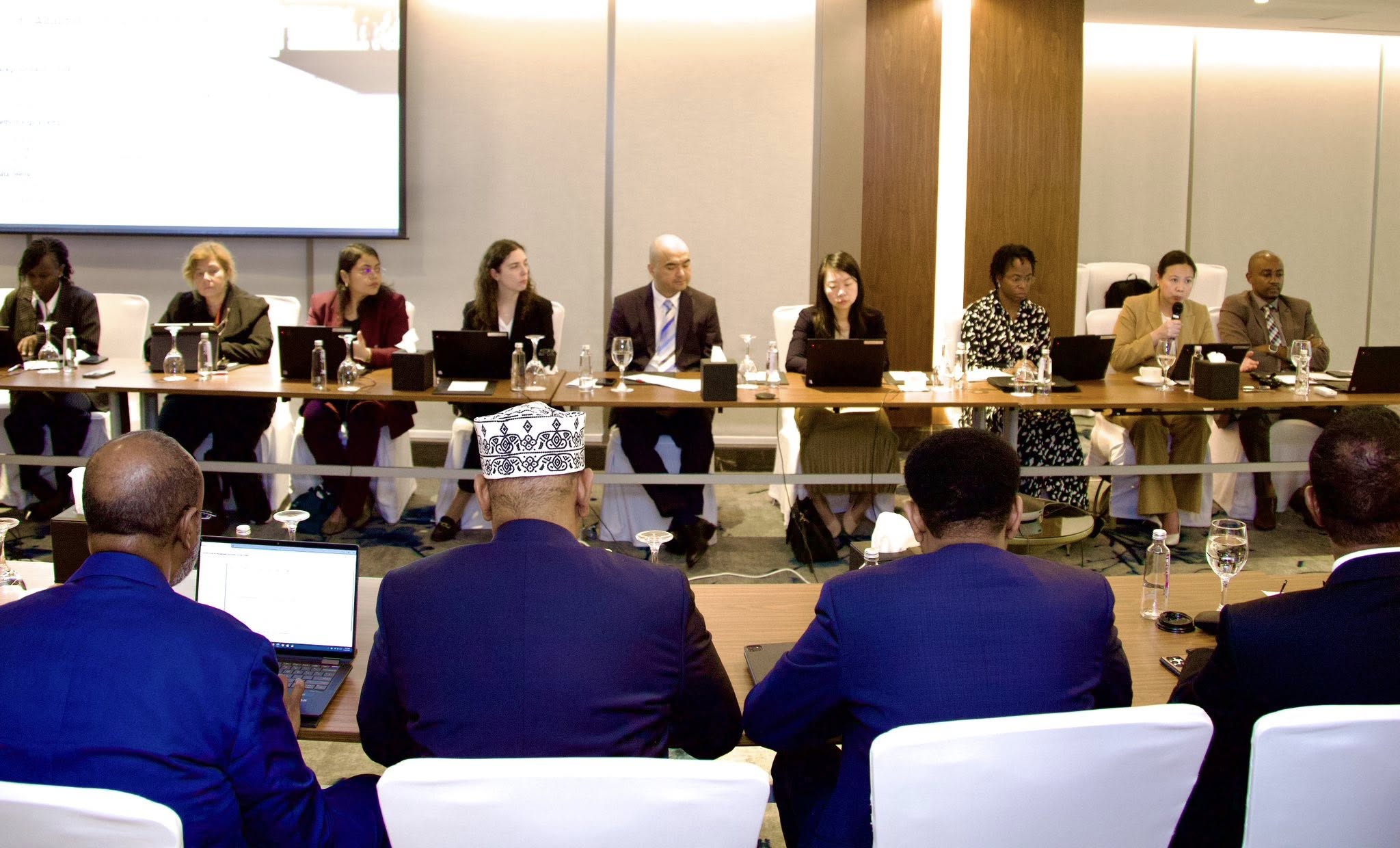 The Role of International Financial Institutions in Advancing Transparency Reforms in Somalia’s Emerging Petroleum Sector Cover